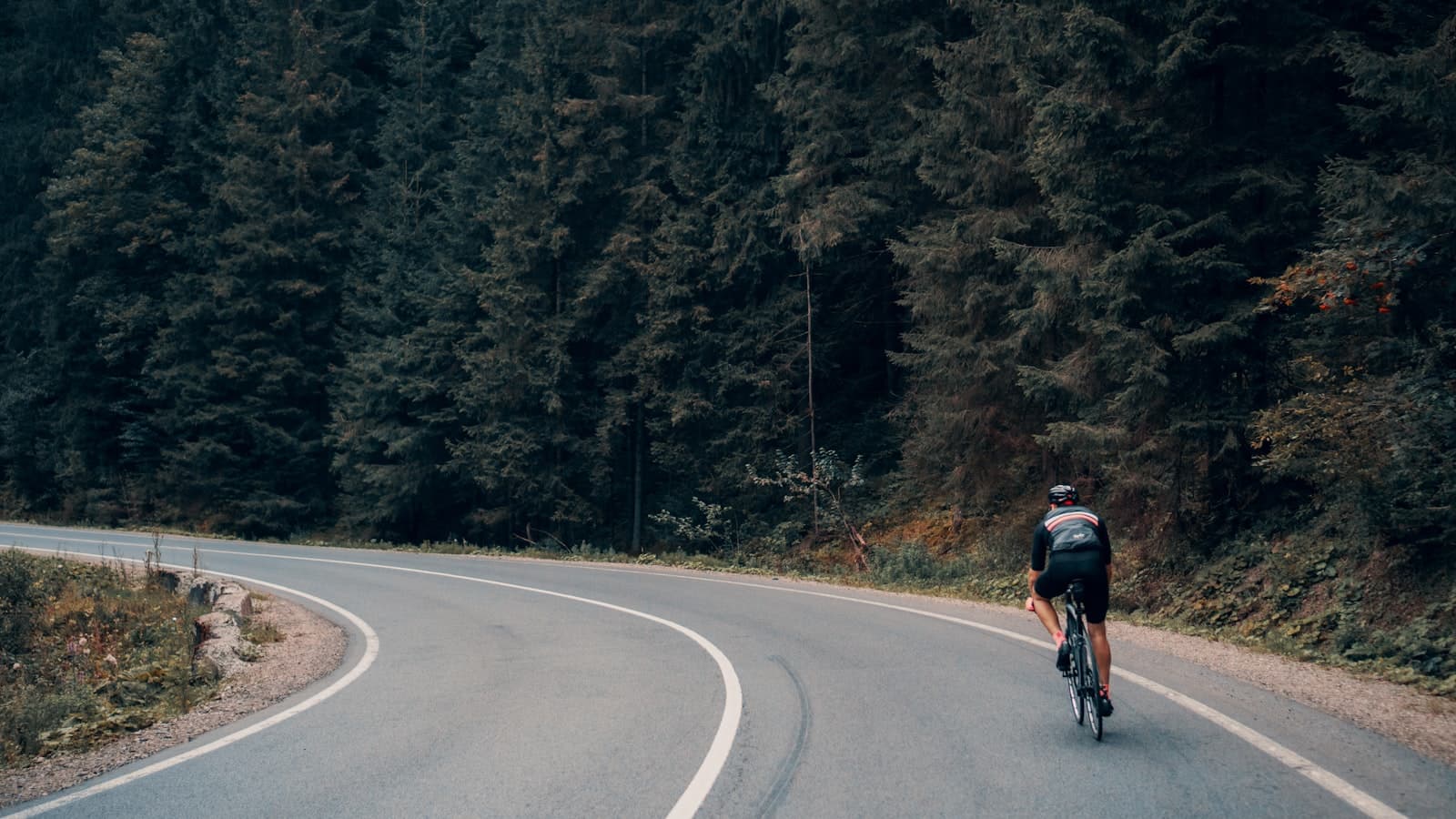 Rennradfahrer trainiert Grundlagenausdauer auf einer Waldstrasse