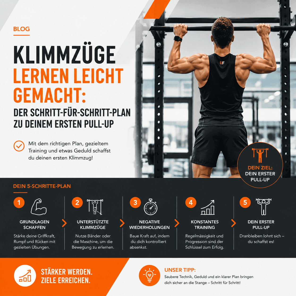 Klimmzüge lernen leicht gemacht Der Schritt-für-Schritt-Plan zu deinem ersten Pull-up