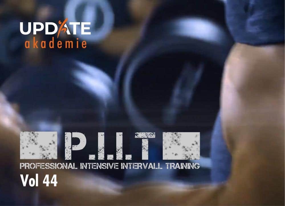 P.I.I.T 44 Cover